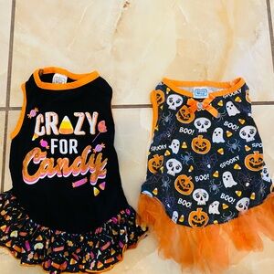 Pet dog Halloween costumes